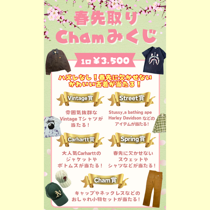 🌸春先取り！ Chamみくじ🌸